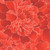 Henry Glass Fabrics Peony Paradise 118 Inch Wide Quilt Backing King Size Flame Red, close-up of vibrant red floral quilt backing fabric with white outlines of large peony flowers.
