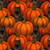 Blank Quilting Fabrics Harvest Haunt Episodic Drawing Pumpkins and Black Cats Orange, autumn-themed fabric design featuring black cats and orange pumpkins.