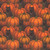 Blank Quilting Fabrics Harvest Haunt Episodic Drawing Pumpkins and Black Cats Orange
