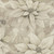 Henry Glass Fabrics Poinsettia Splendor 108 Inch Quilt Backing Winter White