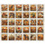 Quilting Treasures Fabrics Canyonlands Dan Morris Canyonlands Desert Scenic Picture Patches
