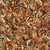 Quilting Treasures Fabrics Canyonlands Dan Morris Brown Horse Scene Circles, fabric with cowboy and horse illustrations in circular frames in warm earth tones.