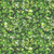 Quilting Treasures Fabrics Lumenique Dan Morris Lime Green Stained Glass Texture, a vibrant fabric with a stained glass pattern featuring shades of green and black outlines.