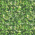 Quilting Treasures Fabrics Lumenique Dan Morris Lime Green Stained Glass Texture