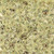 Timeless Treasures Fabrics Ember Tonga Batiks Fern Green Blossoms, batik fabric with green and brown butterfly and floral pattern.