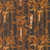 Moda Fabrics Northern Brights Amarilys Henderson Birch Stripe Night Sky Black, fabric with a fall forest scene featuring trees and orange leaves on a dark background.