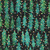 Windham Fabrics Anthology Batiks Jacqueline de Jonge Sparkly Christmas Night Blue Christmas Trees, fabric pattern showcasing green Christmas trees with gold glitter accents on a dark background.