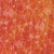 Moda Fabrics Coven Robin Pickens Spider Web Halloween Spice Orange