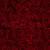 Timeless Treasures Fabrics Tonga Batiks Poinsettia Packed Leaves Crimson Red, fabric with a botanical pattern of poinsettia and leaves in shades of red.