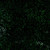 Timeless Treasures Fabrics Tonga Batiks Poinsettia Nature Hike Emerald Green, intricate green botanical batik pattern on black fabric.
