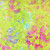 Timeless Treasures Fabrics Tonga Batiks Lilypad Tie Dye Floral Lime Green