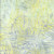Timeless Treasures Fabrics 108 Inch Wide Tonga Batik Quilt Backing Allover Twigs Haze