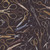 <p>Timeless Treasures Fabrics Novelty Sewing Vintage Embroidery Sewing Scissors Black</p>