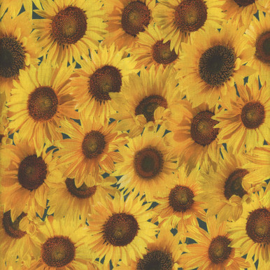 TT%25202536%2520Sunflower_main