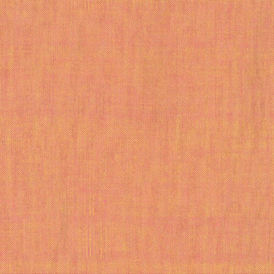 fabrics interseason protocol 写真集 Rare Books Paris - Fabrics Interseason Protocol