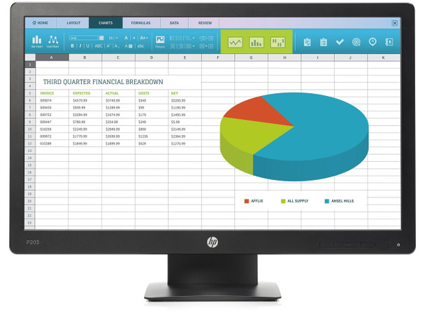 HP ProDisplay P203 20" HD+ TN Black computer monitor