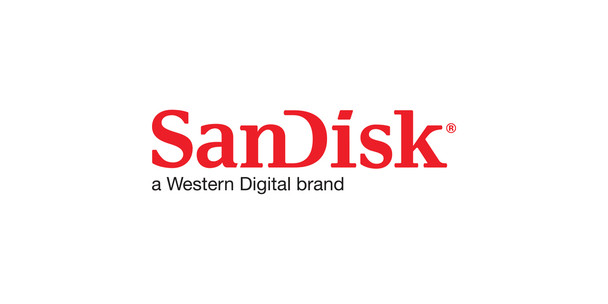 SanDisk SDASN8Y-256G
