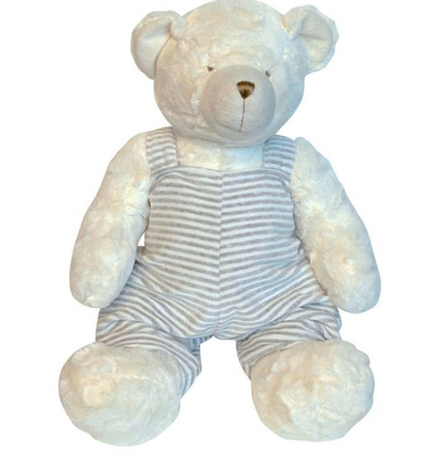 teddy bear with overalls