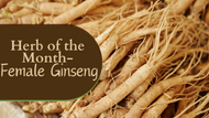 Herb of the Month: Female Ginseng