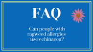 FAQ- Can people with  ragweed allergies  use echinacea? 