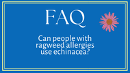 FAQ- Can people with  ragweed allergies  use echinacea? 