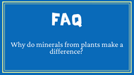 FAQ- Minerals from plants