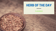 Herb of the Day: Flaxseed
