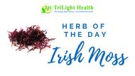 Herb of the Day: Irish Moss