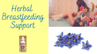 Herbal Breastfeeding Support