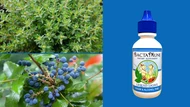 Herbal Immune Support