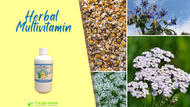 Herbal Multivitamins