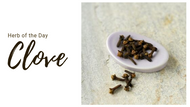 Herb of the Day: Cloves