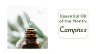 Essential Oil of the Month: Camphor