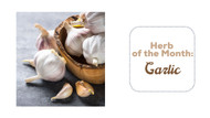 Herb of the Month: Garlic