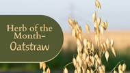 Herb of the Month: Oatstraw