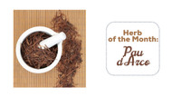 Herb of the Month: Pau d'Arco