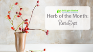 Herb of the Month: Rosehips