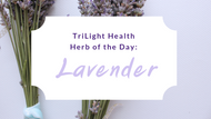 Herb of the Day: Lavender