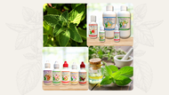 November Specials of the Month: Peppermint Formulas! 
