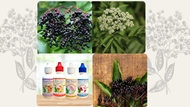 October Specials of the Month: Elderberry Formulas