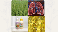 September Specials of the Month- Lungs Plus & Lung Tonic