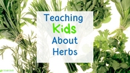 Tips for Teaching Kids About Herbs