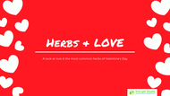 Herbs & Love