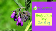 Herb of the Day ... Comfrey!