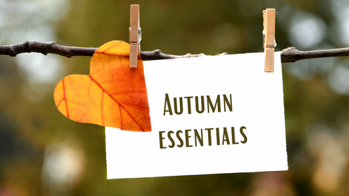 Autumn Essentials