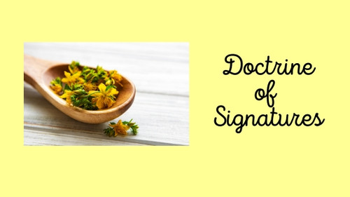 Doctrine of Signatures: How Plants Reveal Their Healing Uses