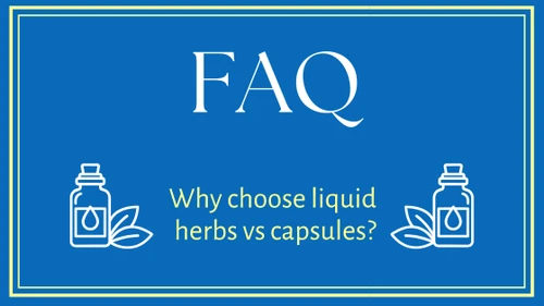 Capsules vs. Liquid Herbal Extracts: Which Is Right for You?