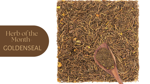 Herb of the Month: Goldenseal