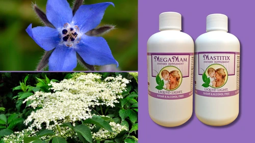 Herbal Breastfeeding Support