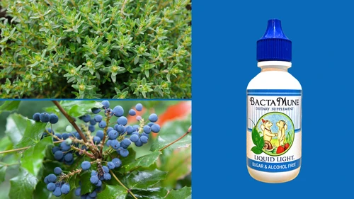 Herbal Immune Support